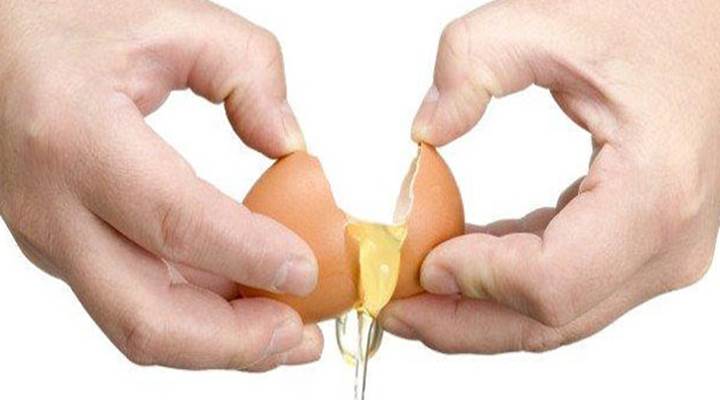 Quantas proteinas tem um ovo